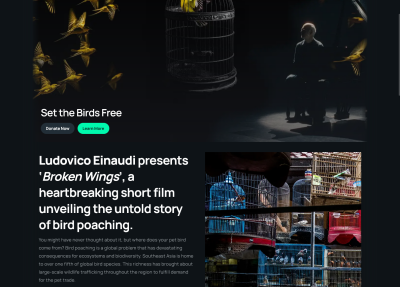 A promotional campaign page for Ludovico Einaudi’s film on bird poaching with a “donate now” button to set the birds free campaign
