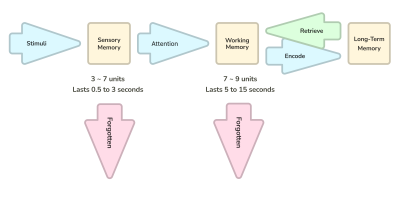 Illustration of how working memory governs the capacity of information that receives attention