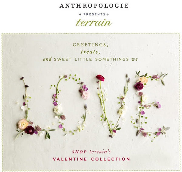 Email Newsletter from Anthropologie