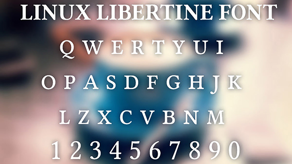 Linux Libertine